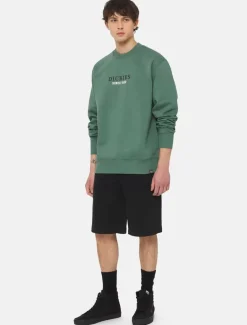 Online Duck Canvas Chap Shorts Shorts