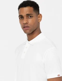 New Everyday Polo Shirt Work T-shirts