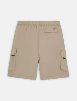 Best Jackson Cargo Shorts Shorts