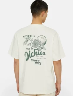 Discount Raven Short Sleeve T-Shirt T-Shirts
