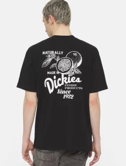 Online Raven Short Sleeve T-Shirt T-Shirts