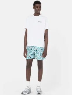 Online Roseburg Box Short Sleeve T-Shirt T-Shirts