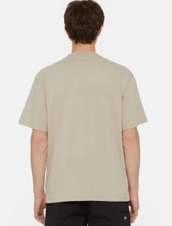 New Saltville Short Sleeve T-Shirt T-Shirts