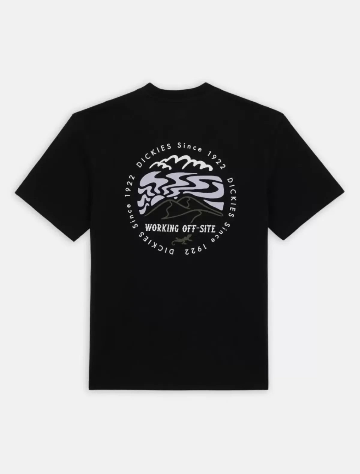 Cheap Stanardsville Short Sleeve T-Shirt T-Shirts